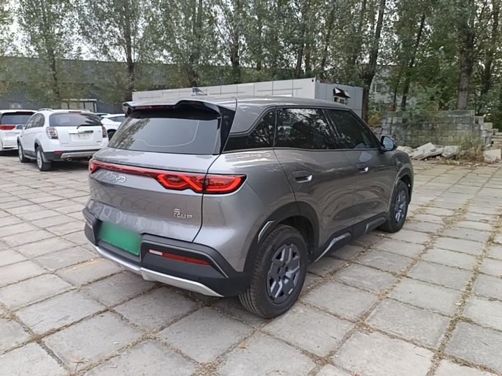Yuan UP 2025 301KM Pilot photo 6