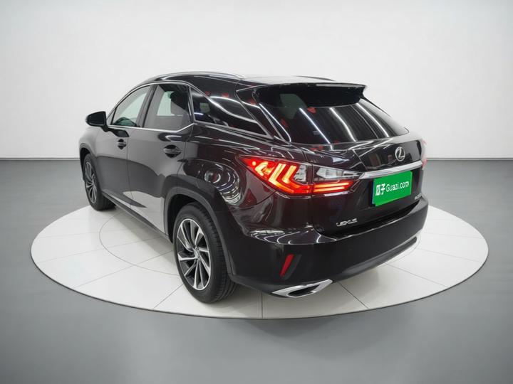 RX 2016 300 AWD Elegant China V photo 4