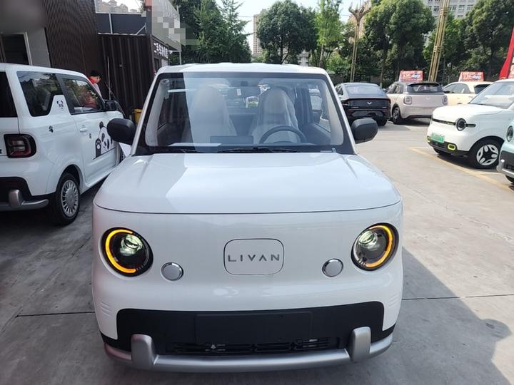 Livan 2025 photo 2