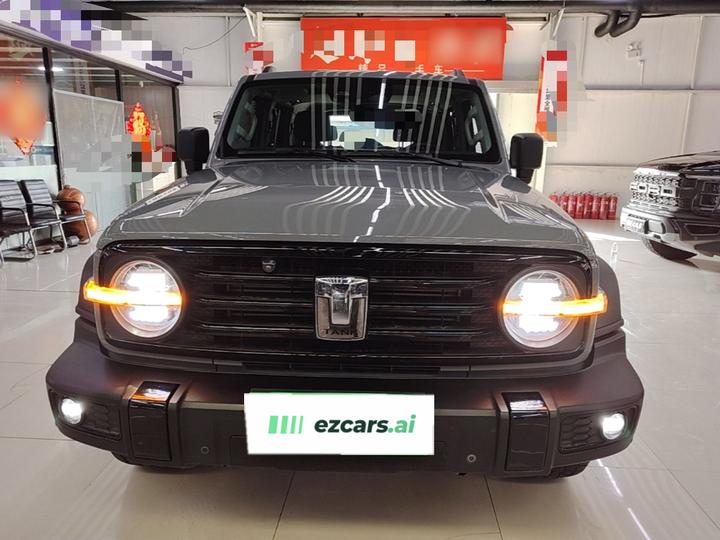 300 2021 Off-road 2.0T Conqueror photo 2