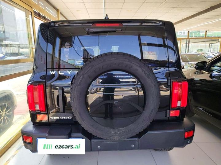 300 2021 Off-road 2.0T Conqueror photo 5