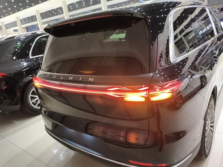 Fulwin T11 2026 220 AWD photo 3