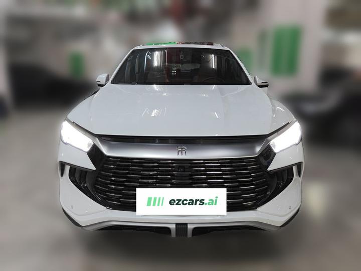 Song Pro EV 2024 Honor DM-i 71KM Pilot photo 2