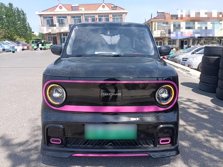 2025 210km Panda photo 2