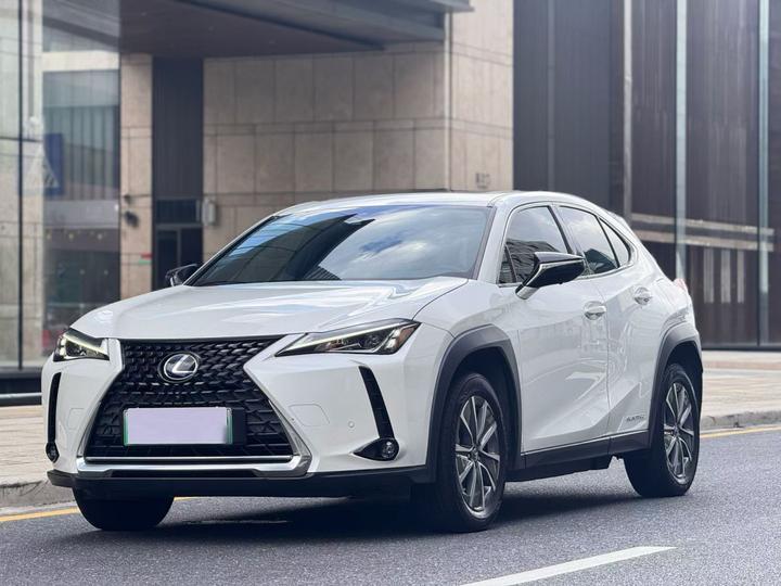 UX EV 2020 300e