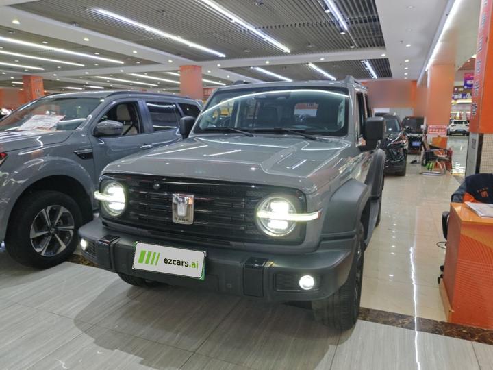 300 2021 Off-road 2.0T Conqueror