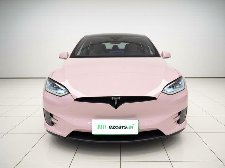 Model X 2020 Performance Performance photo 2