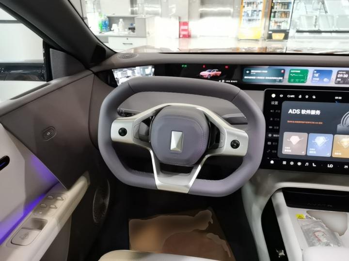 06T 2026 Max EV photo 2