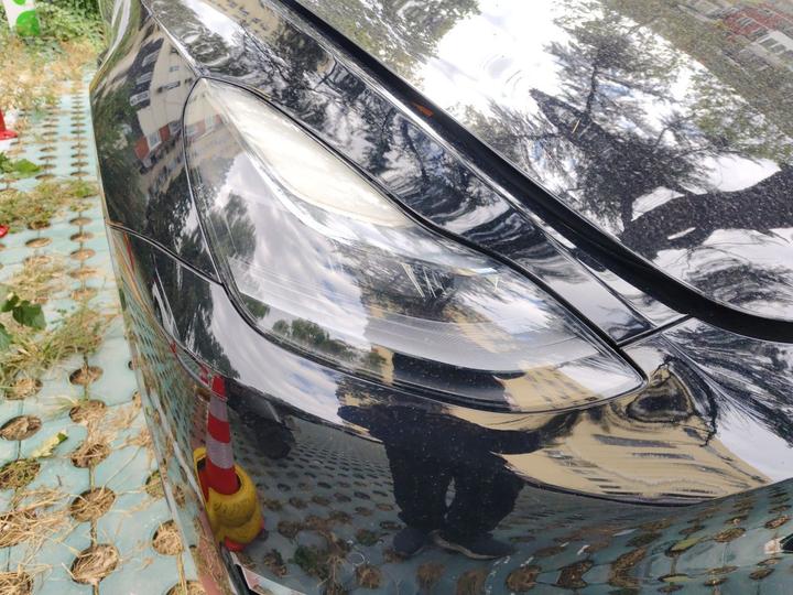 Model Y 2021 Standard Range RWD photo 7