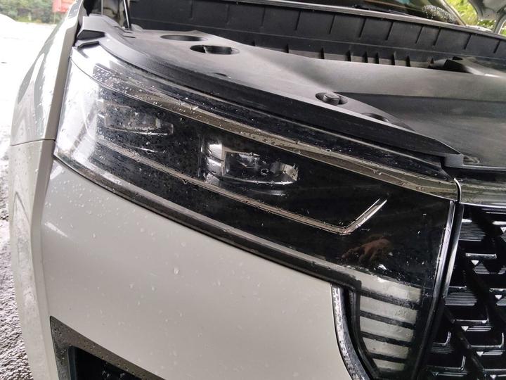 2021 260T AT 48V Mild Hybrid photo 7