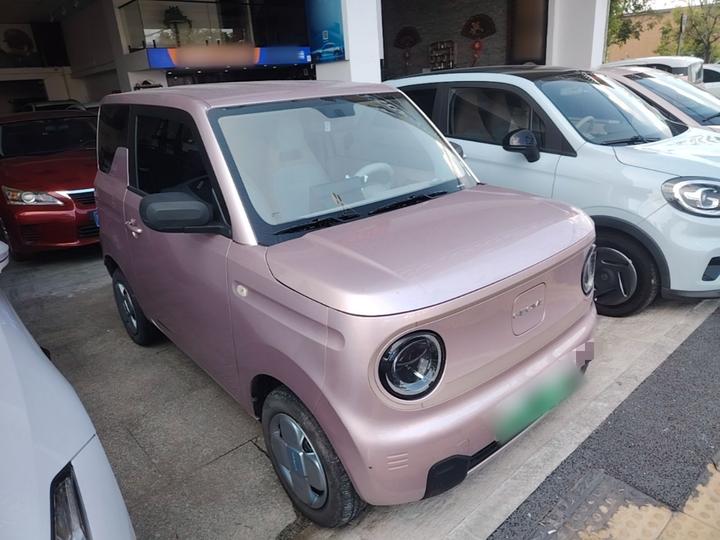 2023 Panda mini 200km Endurance Bear photo 3