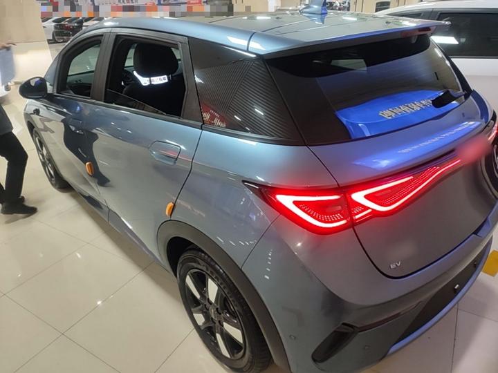 Dolphin 2025 ADAS 410km Fashion photo 4