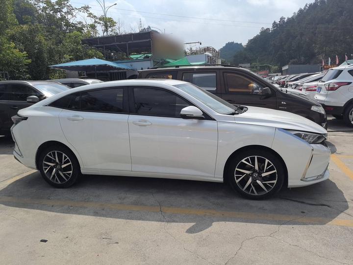 Yixuan 2020 230T AT photo 3