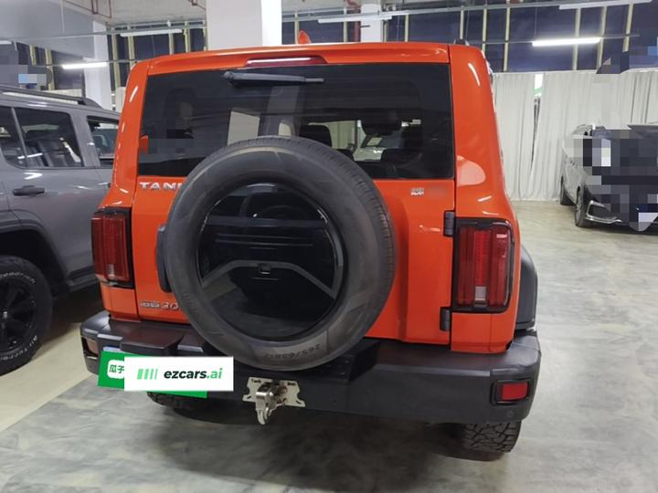 300 2021 Off-road 2.0T photo 3