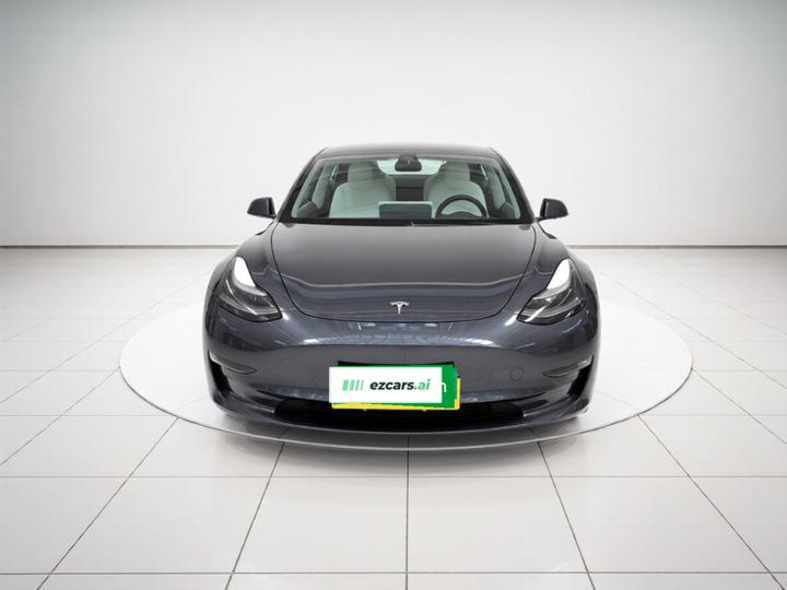Model 3 2021 Facelift Performance AWD 3D1 photo 2