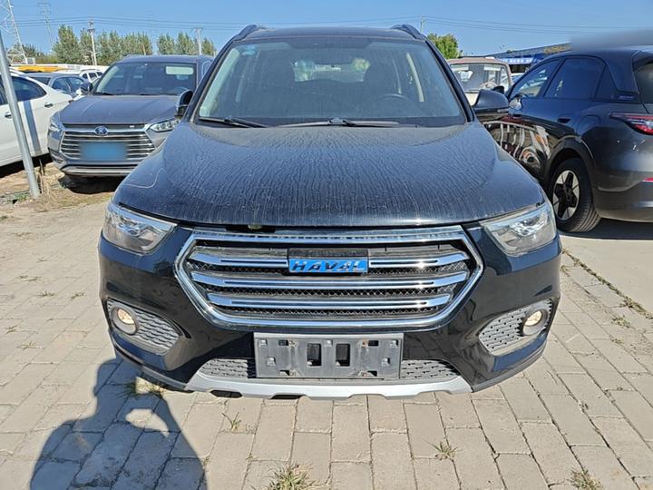 H6 2018 Blue Label Sport 1.5T AT RWD Elite photo 2