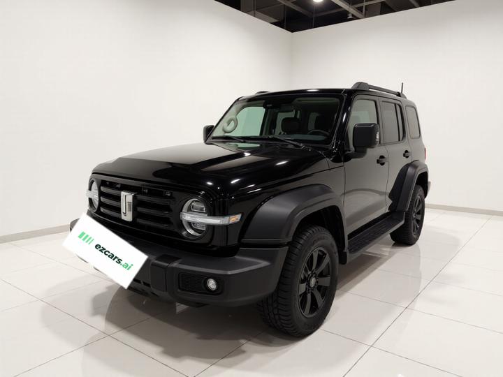 300 2021 Off-road 2.0T