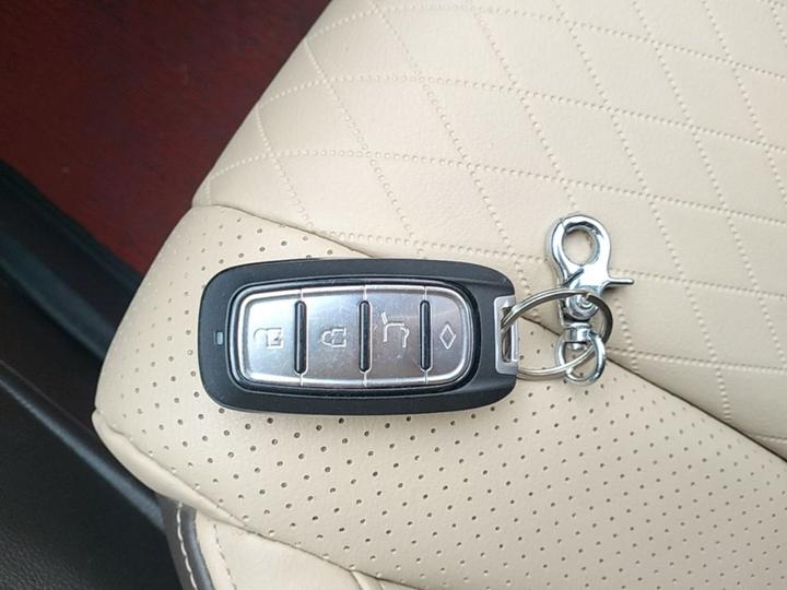 310W 2017 1.5L MT Luxury China V photo 8