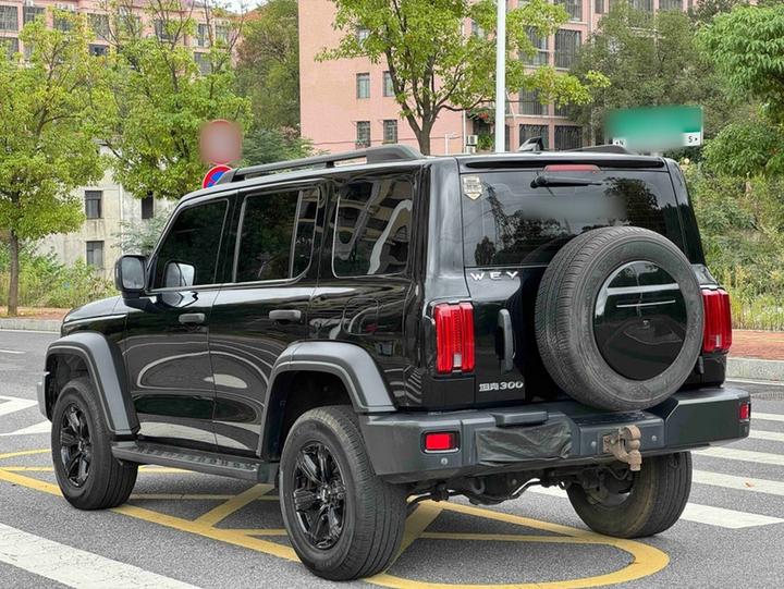 300 2021 Off-road 2.0T Conqueror photo 5
