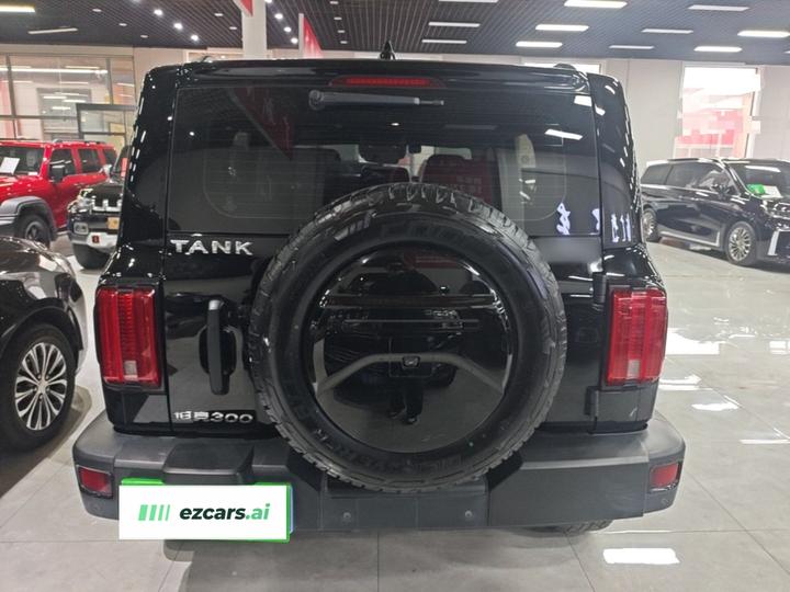 300 2023 Off-road 2.0T Conqueror photo 5