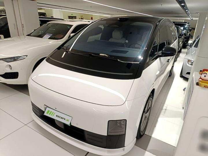 Li MEGA 2025 Home Family Special