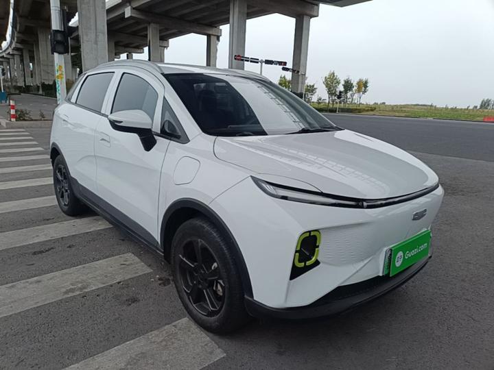 E Firefly 2023 320KM 5-Seater photo 3