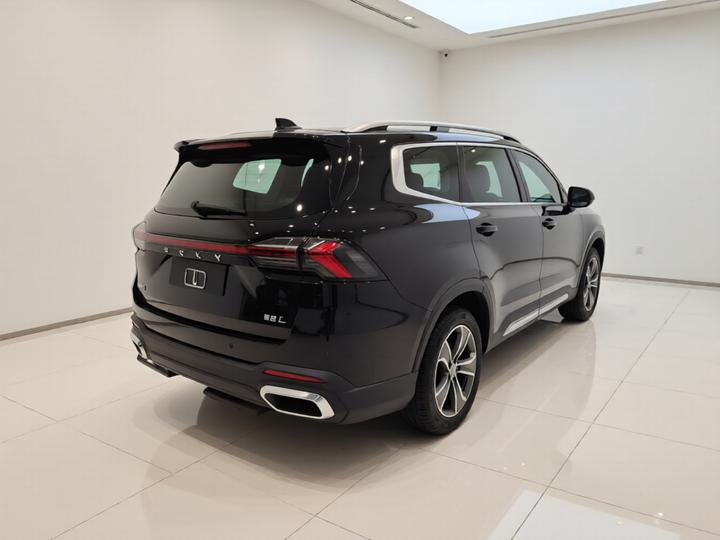 Haoyue L 2024 2.0T DCT Premium photo 6