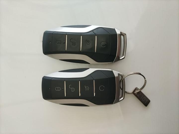 Han 2021 EV Standard Range Luxury photo 8