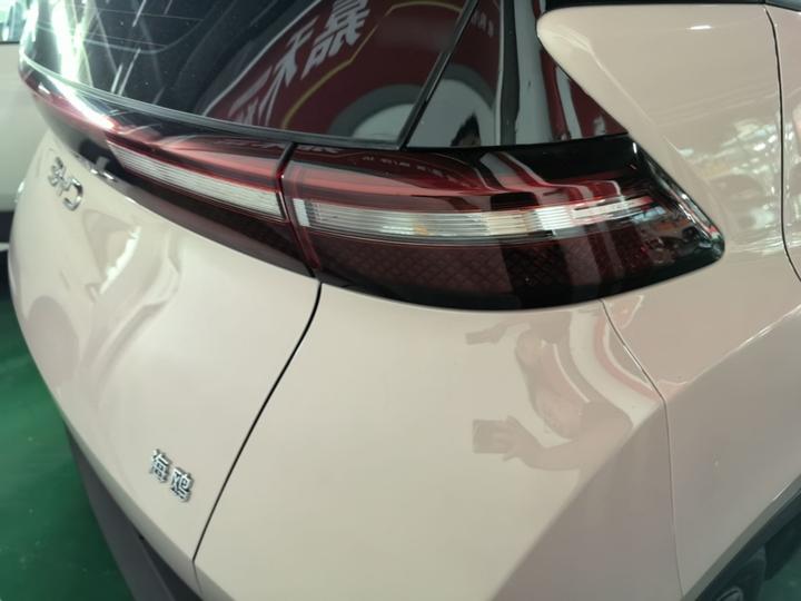 Seagull 2024 Honor 305km photo 7