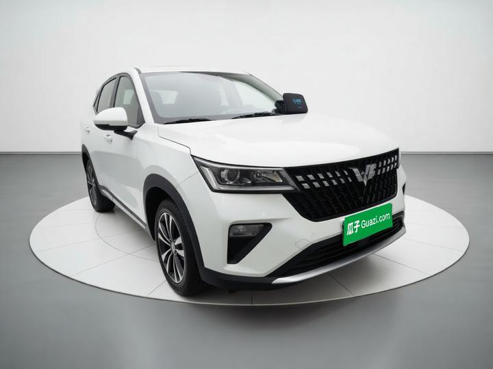 Wuling 2022 1.5L MT photo 3