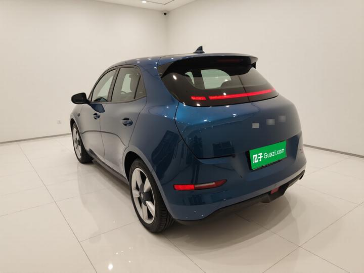 Good Cat 2021 400km Standard Range LFP photo 4