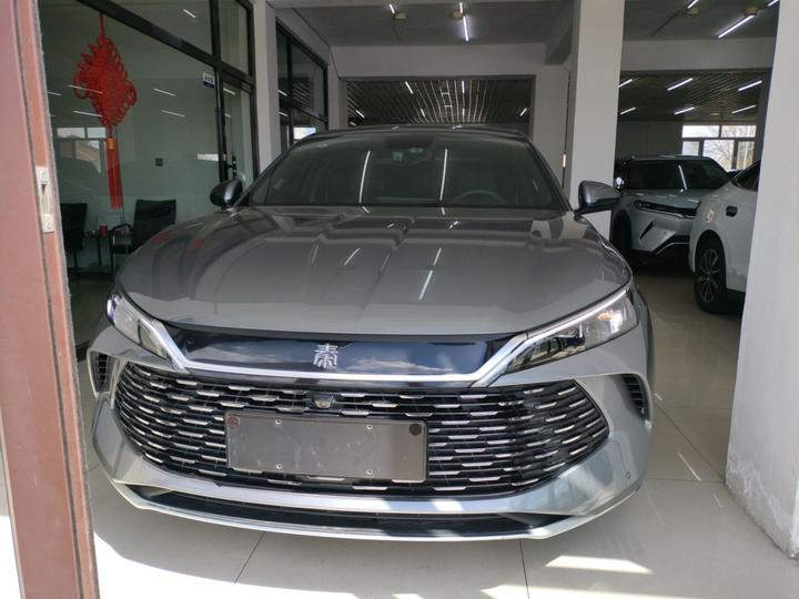 Qin L 2024 DM-i 80KM photo 2