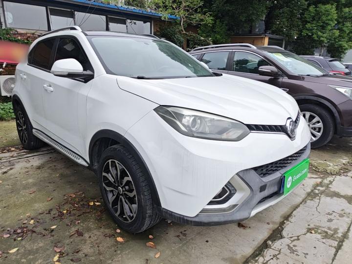 GS 2015 1.5TGI TST AWD Luxury photo 3