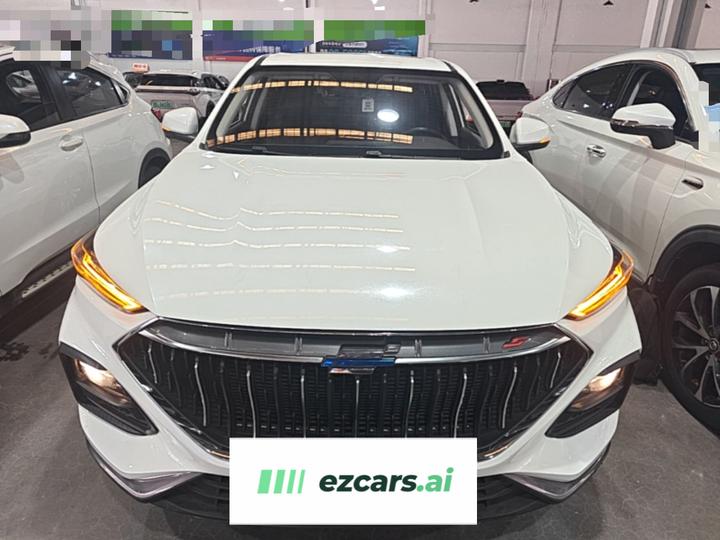 X5 2021 1.5T DCT Luxury photo 2