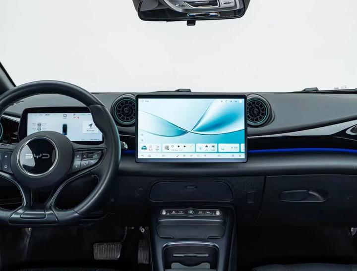 Dolphin 2025 ADAS 410km Fashion photo 8