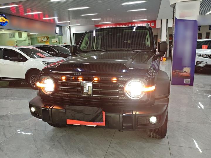 300 2023 Off-road 2.0T Conqueror photo 2