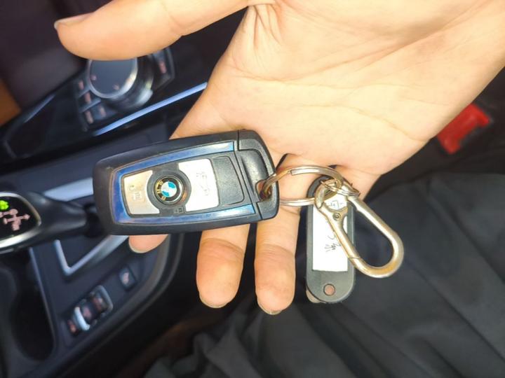 3 Series 2019 320Li M Luxury photo 8