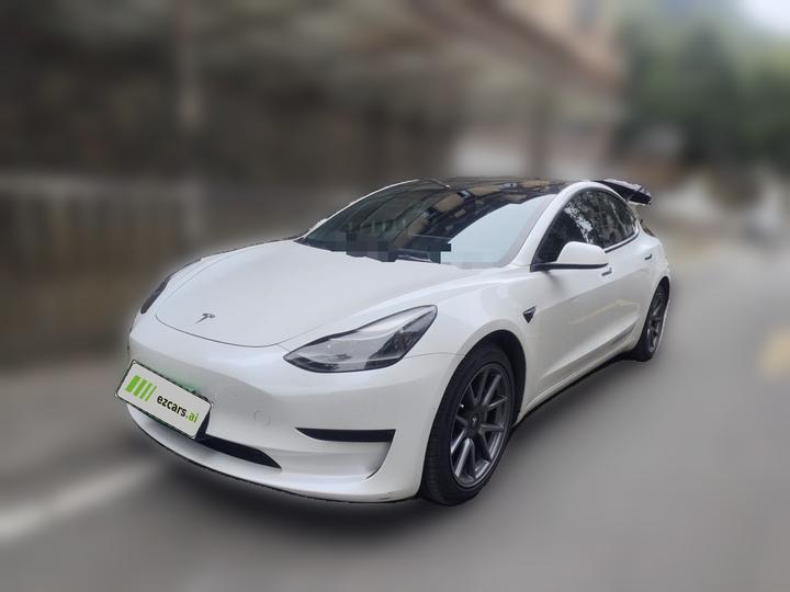 Model 3 2021 Facelift Standard Range RWD Upgraded 3D1
