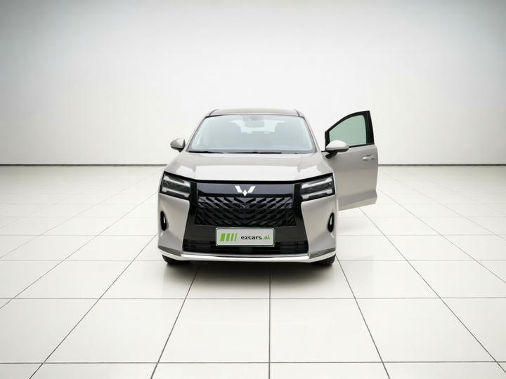 730 EV 2025 125km Luxury