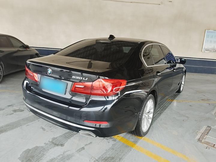 5 Series 2018 530Li xDrive Luxury photo 6