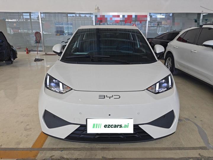 Seagull 2025 ADAS 305km photo 2