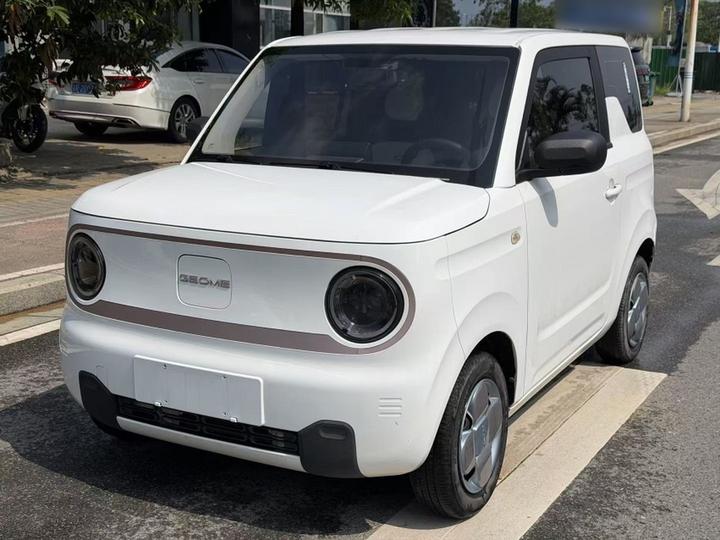 2023 Panda mini 200km Endurance Bear