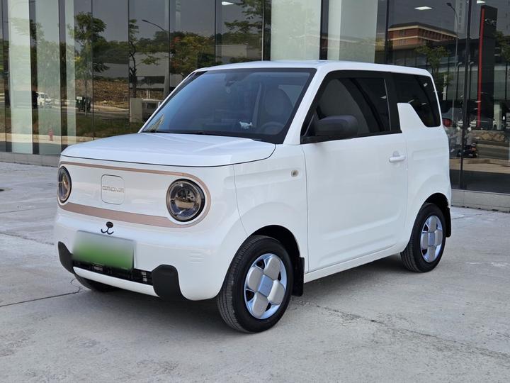 2023 Panda mini 200km Endurance Bear