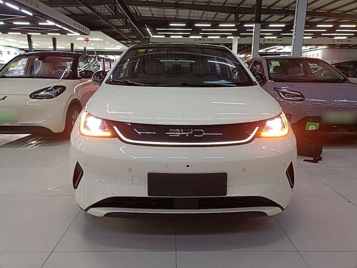 Dolphin 2025 ADAS 410km Fashion photo 2