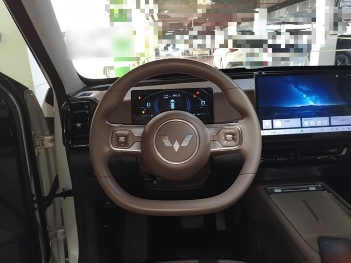 560 EV 2026 125km Luxury photo 6