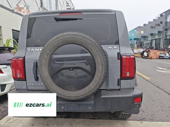 300 2021 Off-road 2.0T Conqueror photo 5