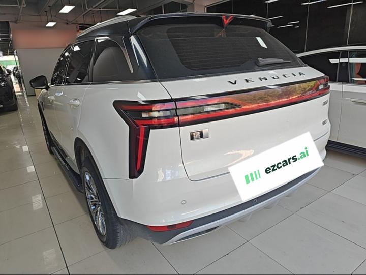 2020 260T AT 48V Mild Hybrid photo 4