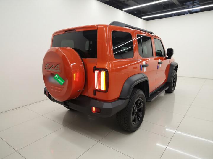 300 2021 Off-road 2.0T Conqueror photo 6