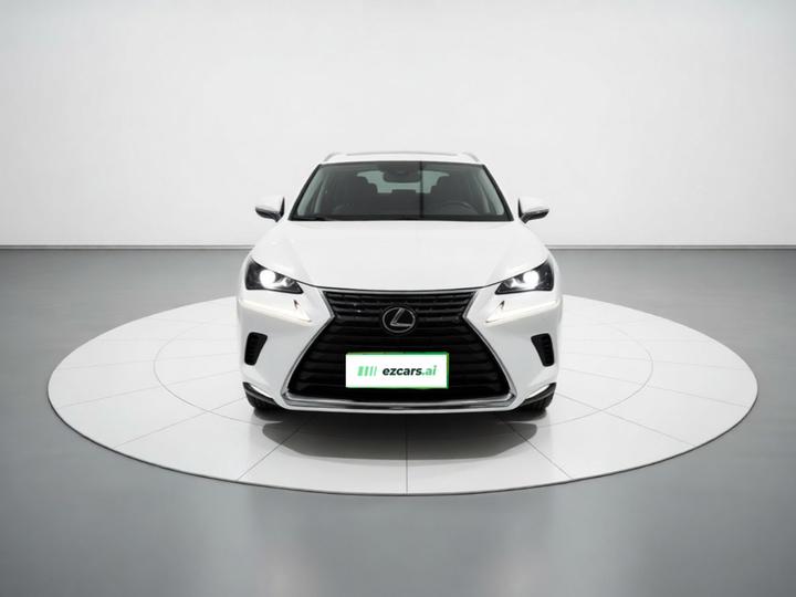NX 2020 300h FWD China VI photo 2