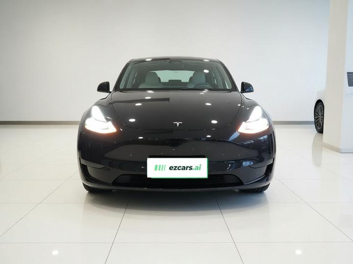 Model Y 2021 Standard Range RWD photo 2